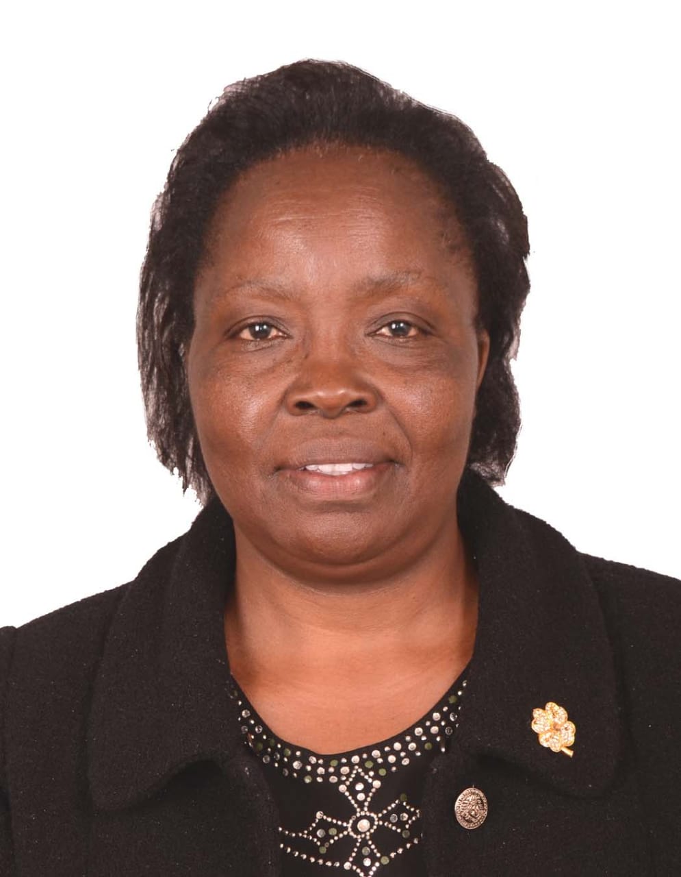 Executive Administrative Assistant @ JLACDO